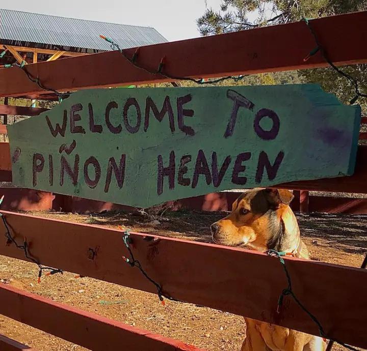 Pet Friendly Pinon Heaven Bed & Breakfast Canada de los Alamos ภายนอก รูปภาพ