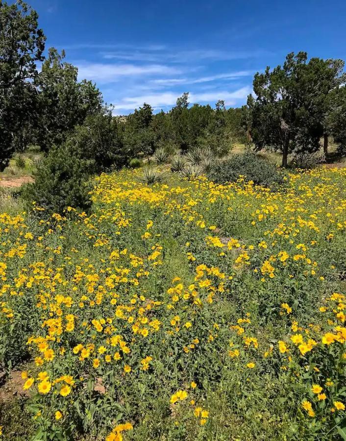 Pet Friendly Pinon Heaven Bed & Breakfast Canada de los Alamos ภายนอก รูปภาพ